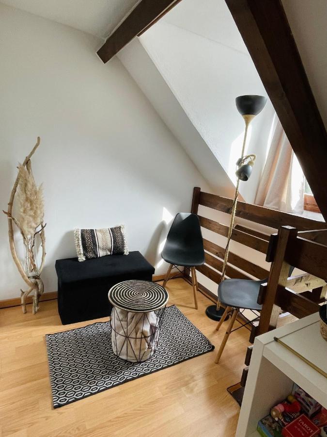 Duplex Du Pailhet, T3 Neuf, Vue Montagne, Parking, Navette Et 2 Velos A Disposition Gratuitement Bagneres-de-Luchon Екстер'єр фото