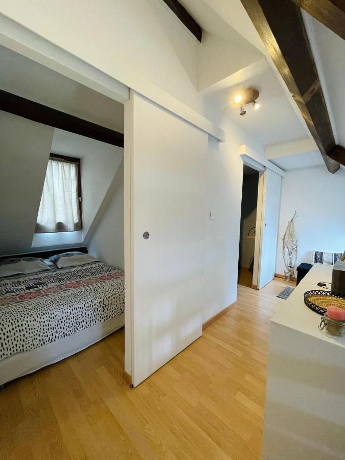 Duplex Du Pailhet, T3 Neuf, Vue Montagne, Parking, Navette Et 2 Velos A Disposition Gratuitement Bagneres-de-Luchon Екстер'єр фото
